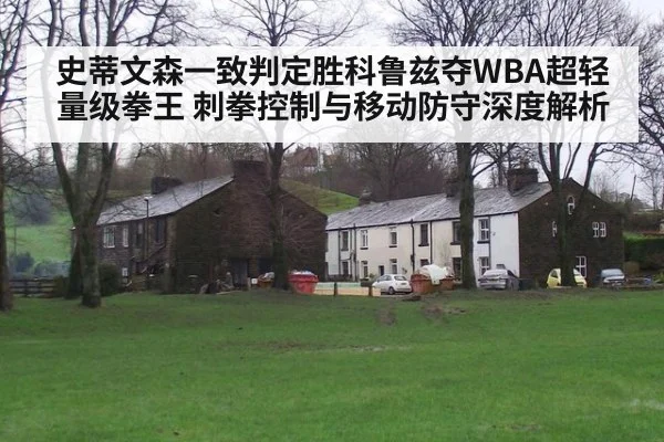 史蒂文森一致判定胜科鲁兹夺WBA超轻量级拳王 刺拳控制与移动防守深度解析