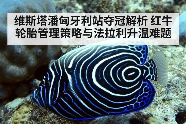 维斯塔潘匈牙利站夺冠解析 红牛轮胎管理策略与法拉利升温难题